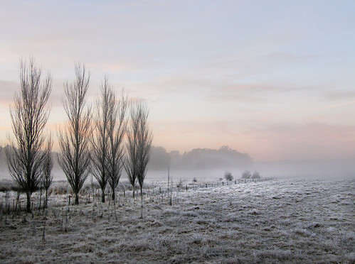 FROSTY MORNING  (EXPLORED) by jgspics