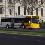 Light-City Buses Adelaide
