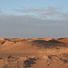 Western Sahara impressions - IMG_0631_CR2