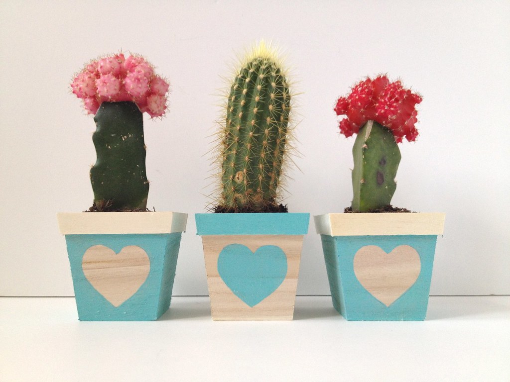 DIY Prickly Heart Succulent Planter Trio Tutorial by Fabric Paper Glue
