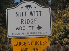 Nitt Witt Ridge, Cambria