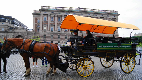 Stockholm horse carriage