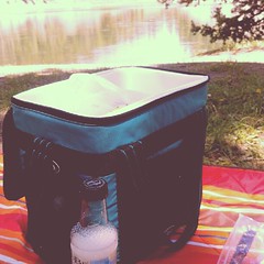 Picnic by Yellowstone River