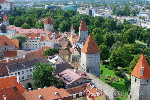 view from St Olaf tower Tallinn (2)