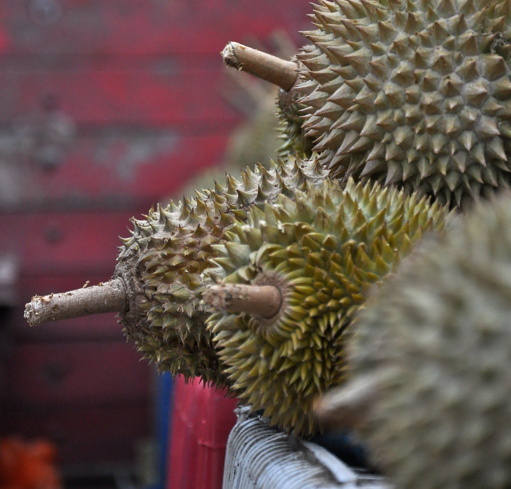Durian ...