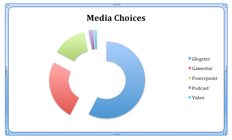Media Choices Essay Project