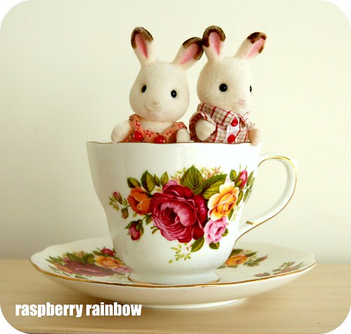 Bunnies in a tea cup