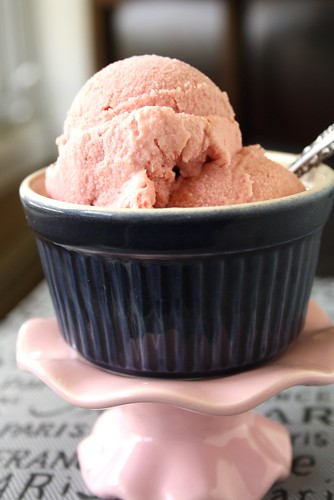 Accidental Strawberry Rhubarb Ice Cream