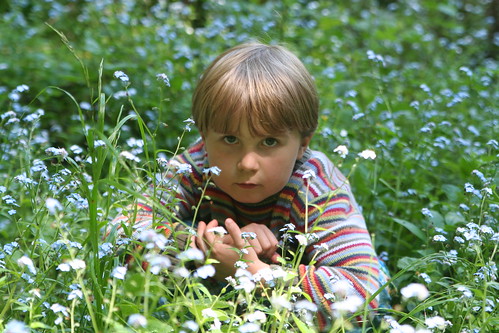 Asher in the Wildflowers