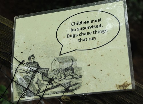 Children must be supervised. Dogs chase things that run, a sign of either danger or fun, Dog Park, north end, Seattle, Washington, USA by Wonderlane
