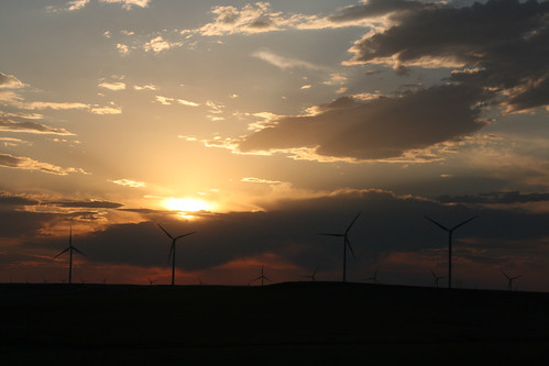 Windmills are a common view for this area the sunset makes them look pretty