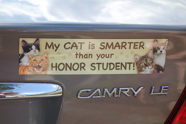 My Cat is Smarter than your Honor Student