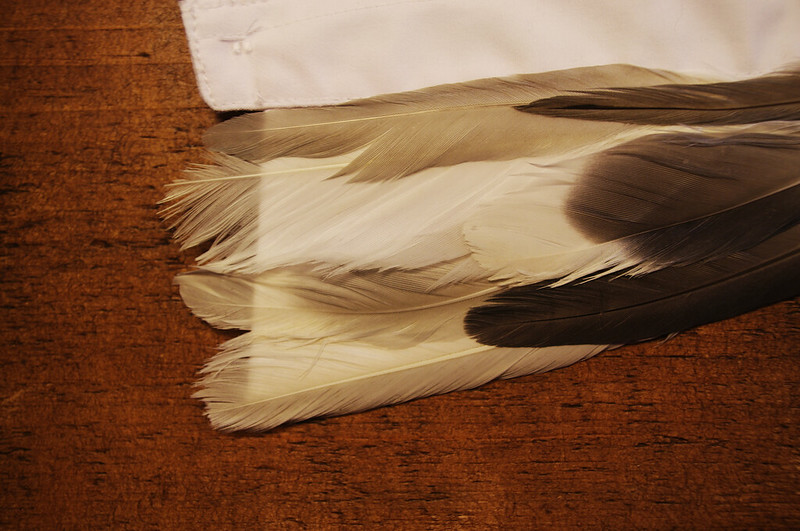 feather collar shirt