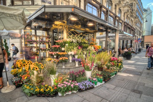 Flower Shop in Vienna