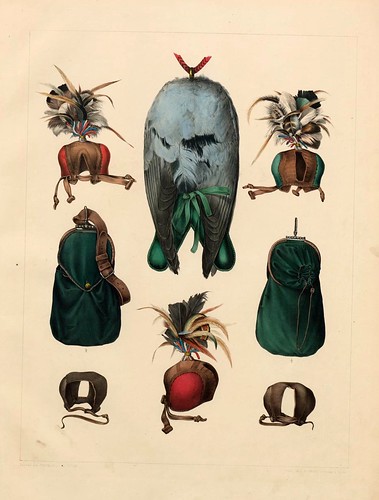 004-complementos de cetreria- Traité de fauconnerie..1853- Hermann Schlegel- Universität Düsseldorf