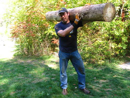 Carried over a pine log