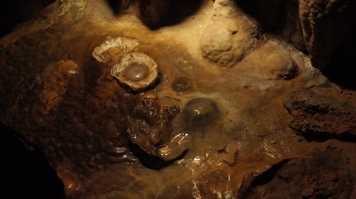 Luray Caverns - "Fried Eggs"