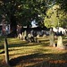 Freedom Trail to  Copp's Burying Ground Boston MA posted by King Kong 911 to Flickr