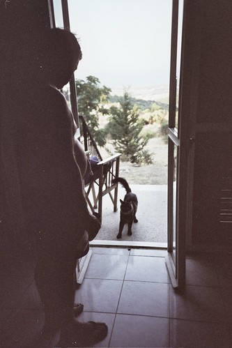 dad not letting the cats in, duckworth house - northern cyprus