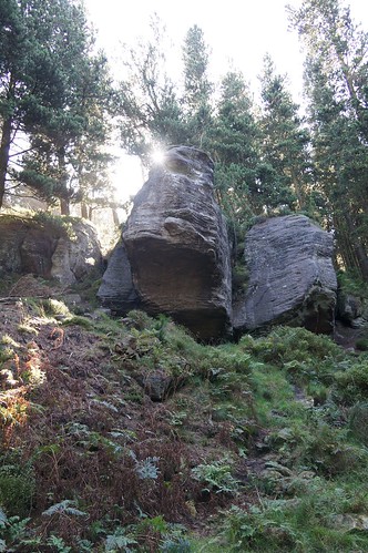 Boulders in the woods on the approach to Simonside North Face, Northumberland