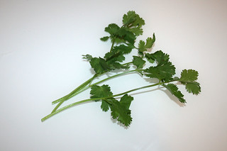 11 - Zutat Koriander / Ingredient coriander