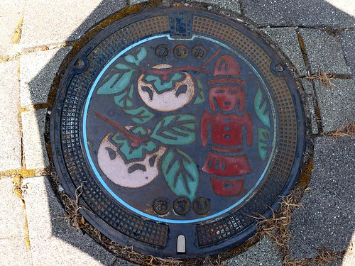 Aimi Tottori manhole cover （鳥取県会見町のマンホール）