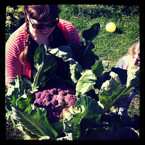 Me and my amazing cauliflower #willbeeatingitforweeks #gardening
