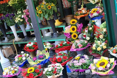 Wroclaw flower market (2)