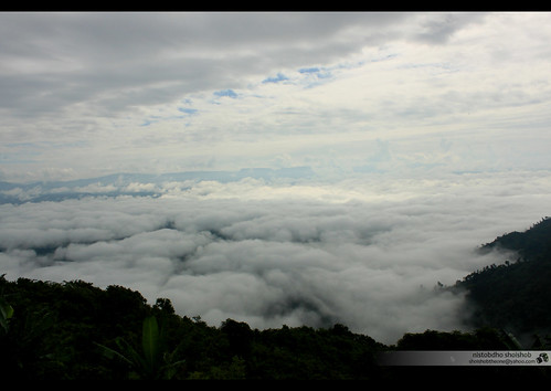 Nilgiri, the sea of Clouds