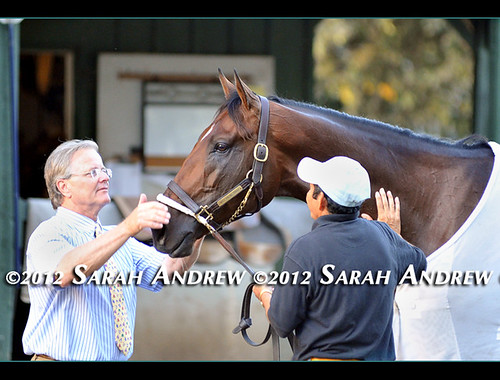 Back at the barn after his victory in the Grade 1 Woodward Stakes at Saratoga Race Course, To Honor and Serve gets the star treatment from Hall of Fame trainer Bill Mott and his groom.