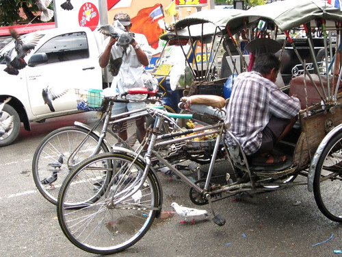 Cycle rickshaws and pigeons