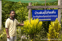 Organic Fruit Permaculture Project. Kuraburi.Thailand