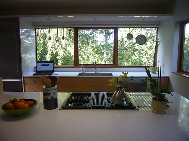 Kitchen Window | Contemporary kitchen design, Kitchen window, Modern house