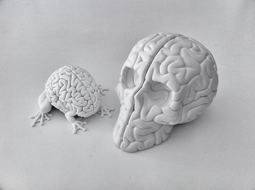 5" Jumping Brain vs Skull Brain by "lapolab"