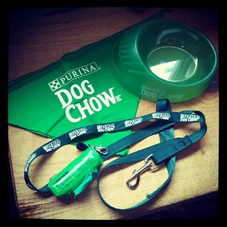 Purina #dog Chow Family Points Program goodies  #dogstagram #petstagram #swag #instadog