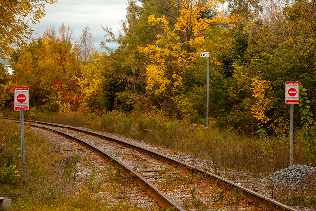 Autumn Train Tracks [EOS 5DMK2 | EF 24-105L@75mm | 1/400s | f/5.6 | ISO400]