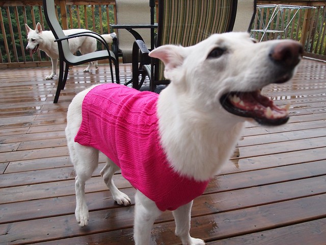 Maggie and her new sweater