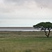 Etosha National Park impressions, Namibia - IMG_3522_CR2_v1