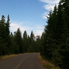 Mount Hood looms behind trees on the descent from Peavine Mountain
