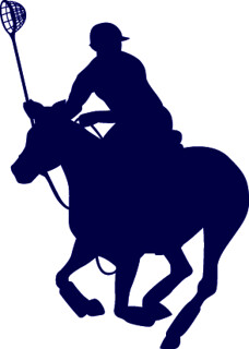 Polocrosse Silhouette