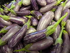 Purple Eggplants