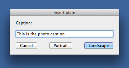 Combined caption and orientation dialog