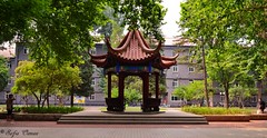 Beijing International Studies University (BISU)