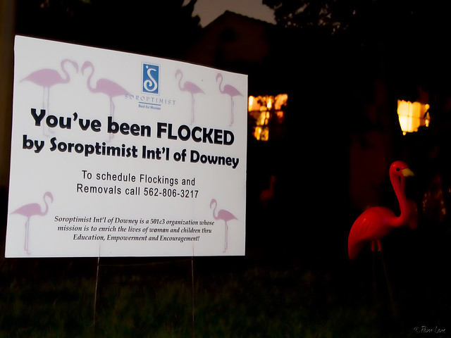 Flamingos Soroptimist sign