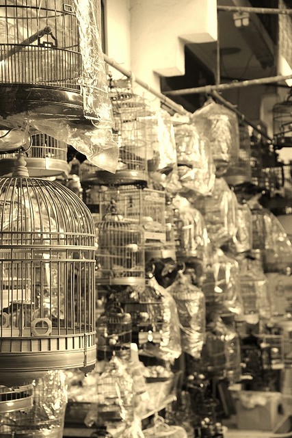Bird Street Hong Kong_birdcages