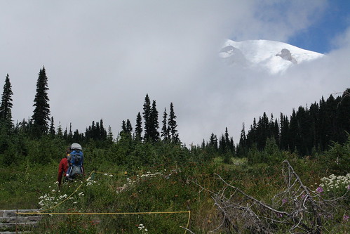 Mount Rainier 2012