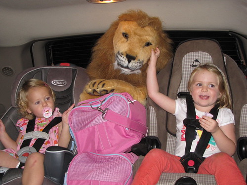 Lion in Car!