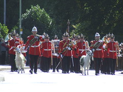 royal welsh regiment bridgend