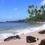 Laniakea Beach Turtle Beach North Shore Oahu Hawaii