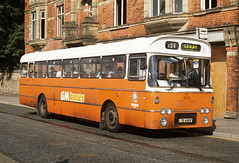 GMT / LUT / GM Buses